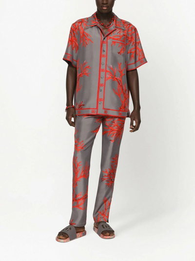 Dolce & Gabbana Coral-print Silk Jogging Trousers In Grey