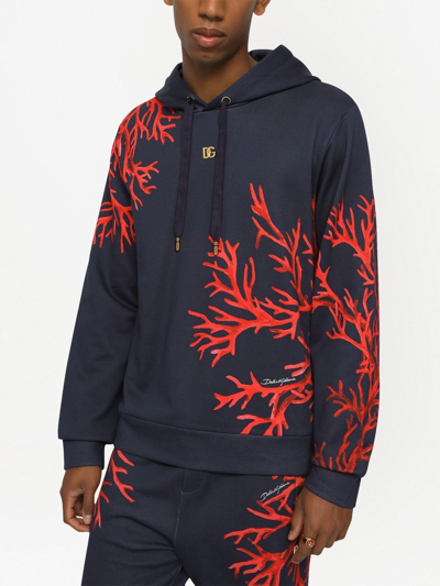 Dolce & Gabbana Coral Printed Hooded Sweatshirt In Blue