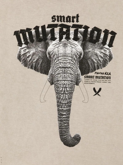 Shop Mauna Kea Graphic-print Cotton T-shirt In Grey
