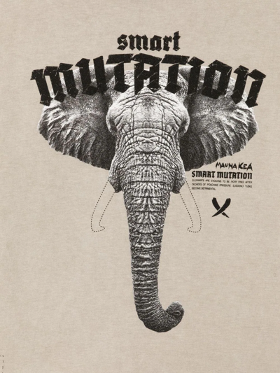 Mauna Kea Graphic-print Cotton T-shirt In Grey