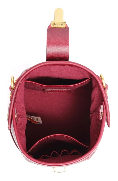 Shop Old Trend Doctor Bucket Leather Crossbody Bag In Burgundy