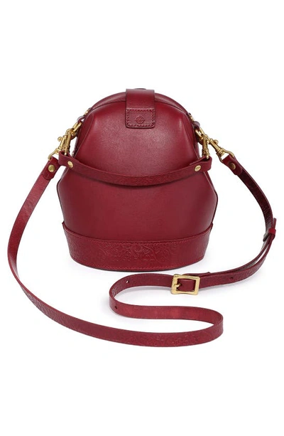 Shop Old Trend Doctor Bucket Leather Crossbody Bag In Burgundy