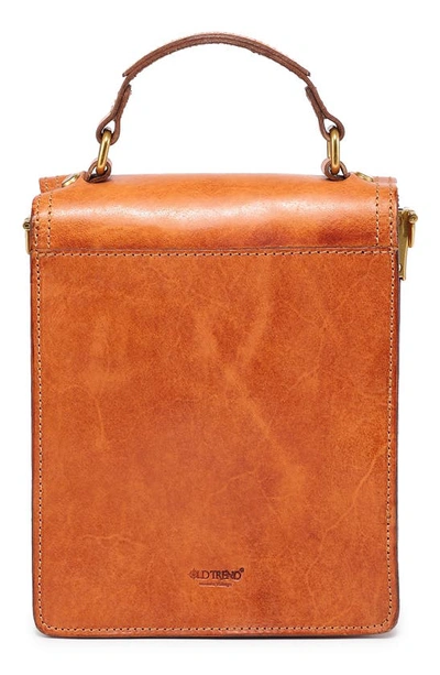 Shop Old Trend Basswood Leather Crossbody Bag In Caramel