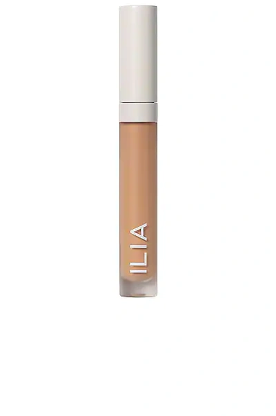 Shop Ilia True Skin Serum Concealer In Bayberry