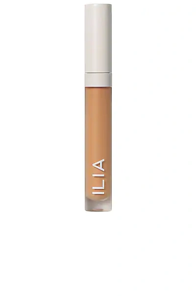 Shop Ilia True Skin Serum Concealer In Mesquite