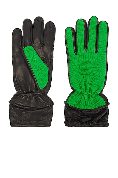 Shop Bottega Veneta Ntreccio Gloves In Parakeet & Black