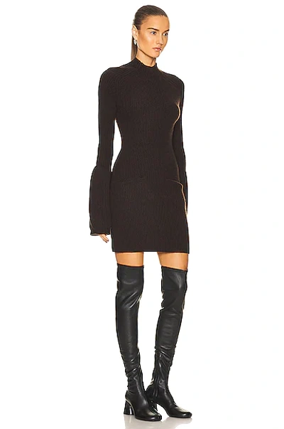 Shop Alexander Wang Mock Neck Mini Dress In Cola