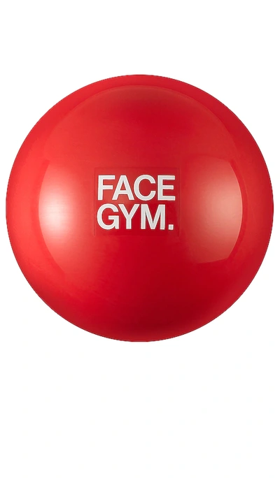 Shop Facegym Weighted Ball Tension Release Tool In N,a