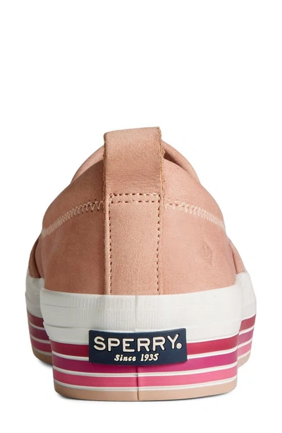 Shop Sperry Crest Twin Gore Platform Sneaker In Rose