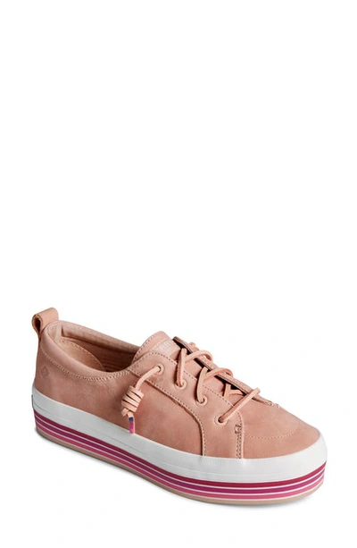 Shop Sperry Crest Vibe Platform Sneaker In Pink