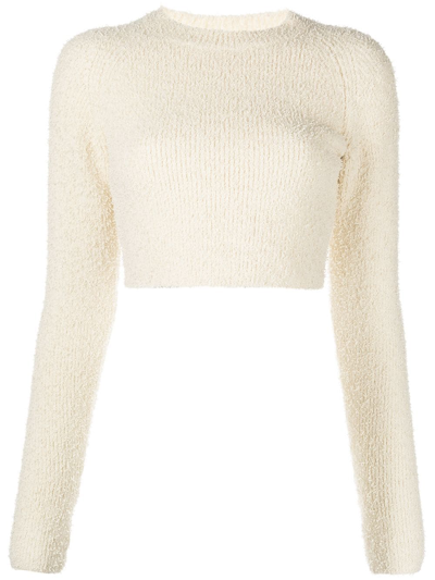 Shop Alix Nyc Zane Long-sleeve Crop Top In Neutrals