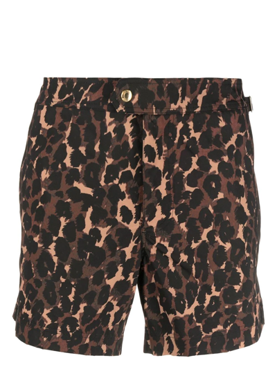 Shop Tom Ford All-over Leopard-print Swim Shorts In Braun
