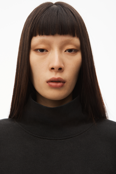 Alexander Wang High Neck Pullover In Dense Fleece In Acid Black