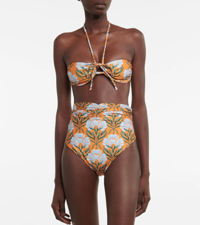 Shop Agua By Agua Bendita Bronce Floral Bikini Top In Semilla Otono