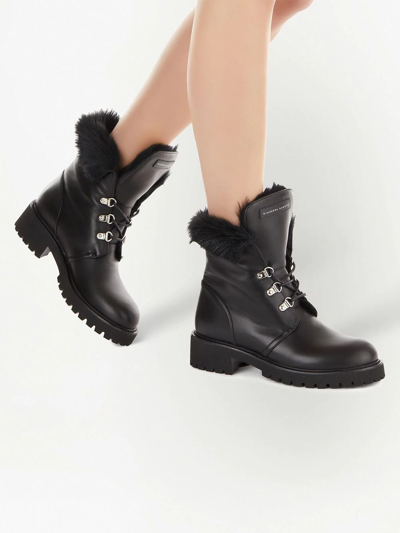 Shop Giuseppe Zanotti Phillis Lace-up Ankle Boots In Schwarz