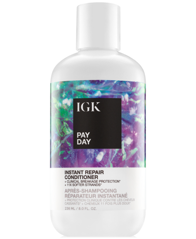Shop Igk Hair Pay Day Instant Repair Conditioner