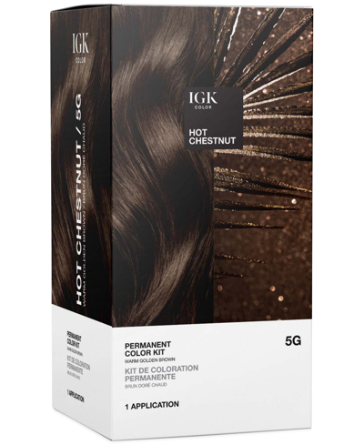 Shop Igk Hair 6-pc. Permanent Color Set In Hot Chestnut