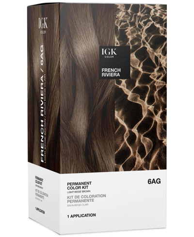 Shop Igk Hair 6-pc. Permanent Color Set In French Riviera