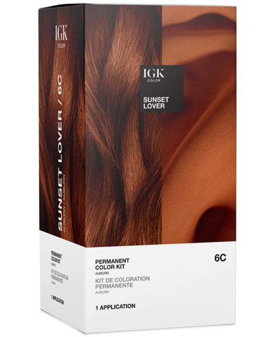 Shop Igk Hair 6-pc. Permanent Color Set In Sunset Lover
