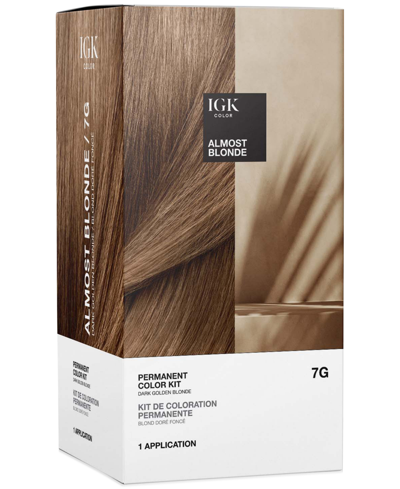 Shop Igk Hair 6-pc. Permanent Color Set In Almost Blonde