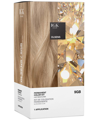 Shop Igk Hair 6-pc. Permanent Color Set In Olsens