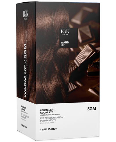 Shop Igk Hair 6-pc. Permanent Color Set In Warm Up