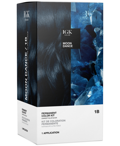 Shop Igk Hair 6-pc. Permanent Color Set In Moon Dance