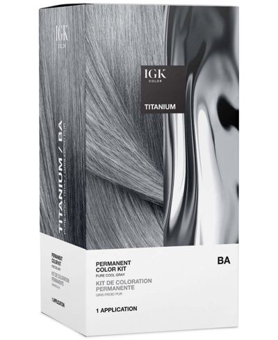 Shop Igk Hair 6-pc. Permanent Color Set In Titanium
