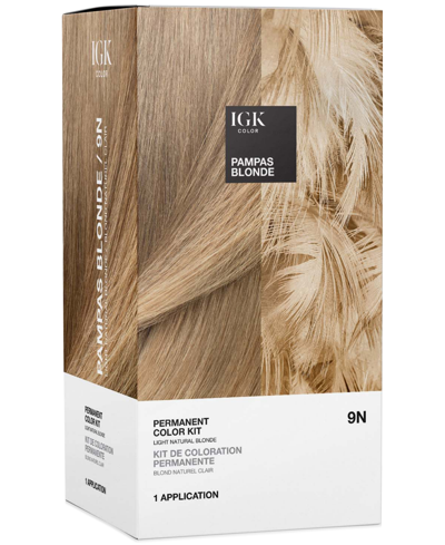 Shop Igk Hair 6-pc. Permanent Color Set In Pampas Blonde