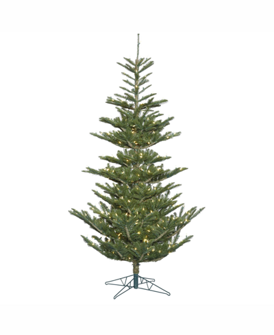 Shop Vickerman 6' Alberta Spruce Artificial Christmas Tree
