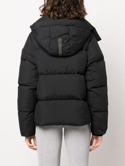 Shop Canada Goose Junction Padded Down Jacket In Black