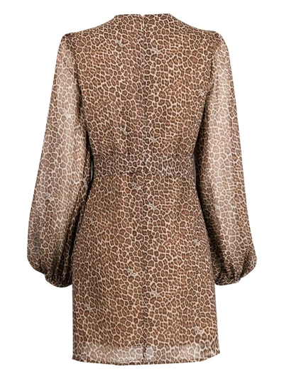 Shop Blugirl Logo-plaque Leopard-print Mini Dress In Brown