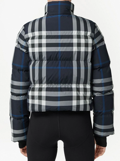 Shop Burberry Cropped Puffer Jacket In Blue