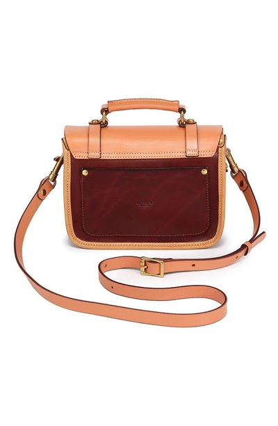 Shop Old Trend Alder Leather Mini Satchel In Brown