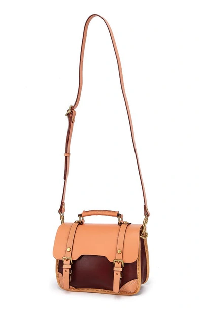 Shop Old Trend Alder Leather Mini Satchel In Brown