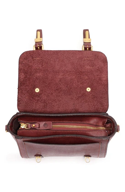 Shop Old Trend Ficus Leather Mini Satchel In Brown