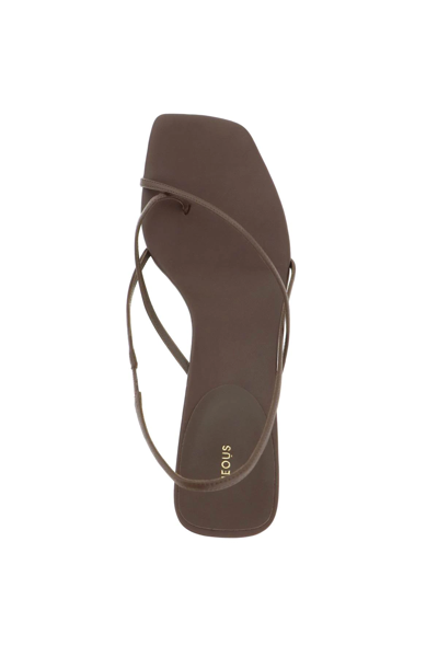 Shop Neous Nappa Leather Shamali Sandals In Brown