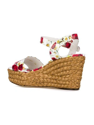 Shop Dolce & Gabbana Daisy And Poppy Print Sandals