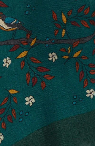 Shop Drake's Bird & Floral Print Wool Scarf In Green