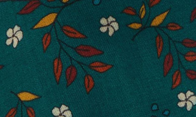 Shop Drake's Bird & Floral Print Wool Scarf In Green