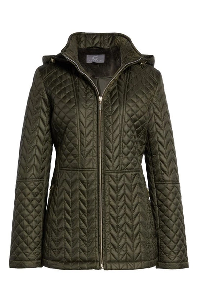 Shop Gallery Hooded Quilted Jacket In Deep Olive
