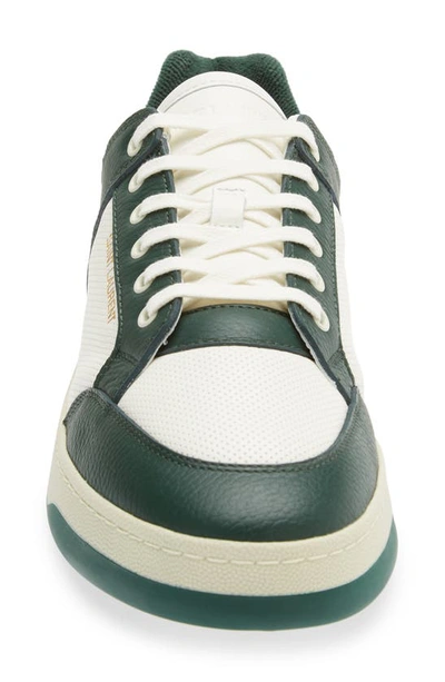 Saint Laurent Multicolor Snekers In Coffe White/ Dark Bas