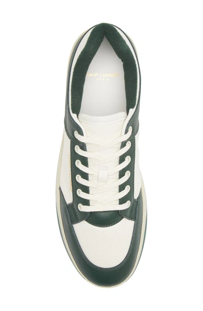 Shop Saint Laurent Court Classic Sl/61 Sneaker In Coffe White/ Dark Bas