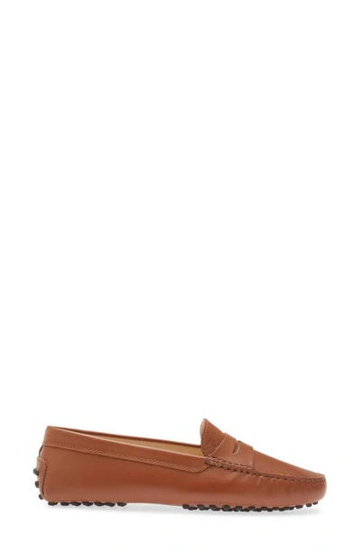 Tod's Penny Strap Loafers Stitch Detailing Rubber Sole In Brandy Scuro
