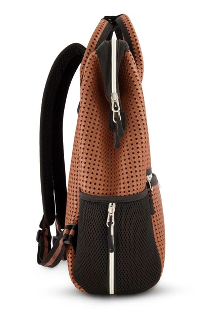 Light+nine Kids' Chestnut Tweeny Short Final Backpack In Brown