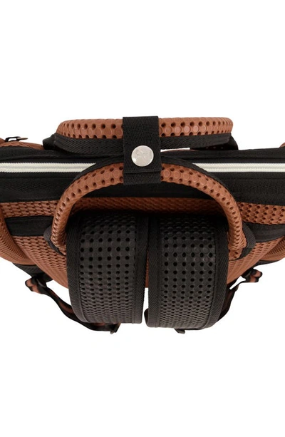 Light+nine Kids' Chestnut Tweeny Short Final Backpack In Brown
