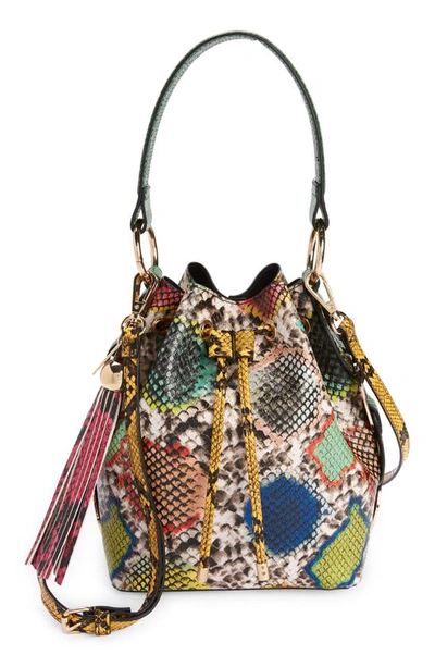 Shop Aldo Gisa Snake Print Faux Leather Bucket Bag In Bright Multi