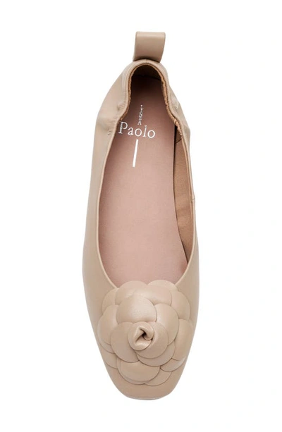 Shop Linea Paolo Nina Ballet Flat In Nude