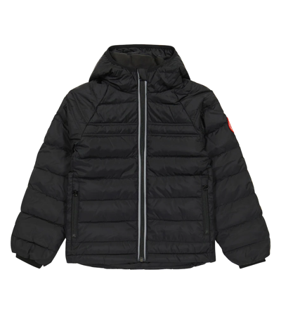 Shop Canada Goose Quilted Padded Jacket In Black