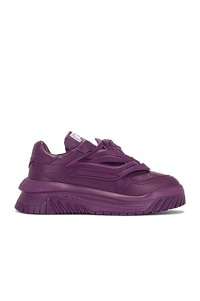 Shop Versace Sneaker In Purple